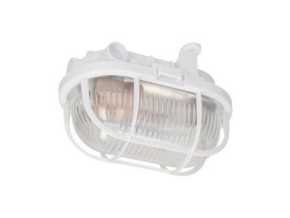 Vanjska ovalna svjetiljka 60W IP54 E27